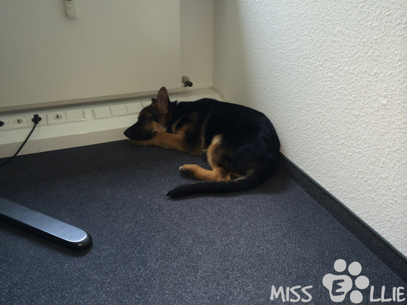 05/08/2014 15:26 Office day