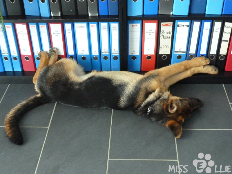 18/08/2014 12:30 Home Office