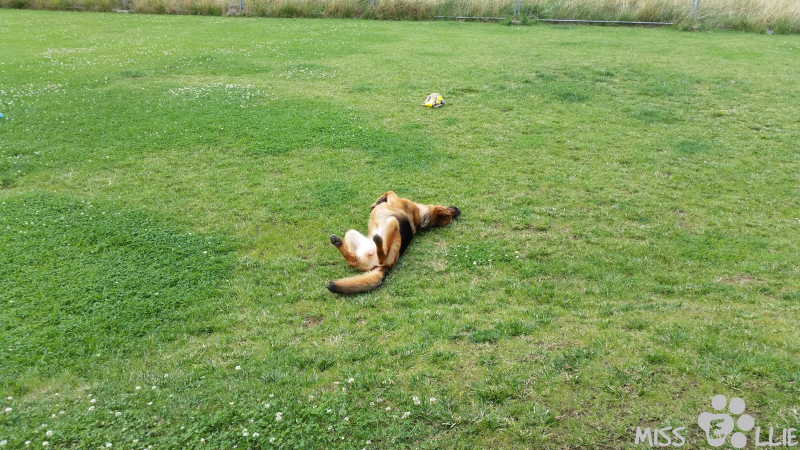 09/08/2015 16:02