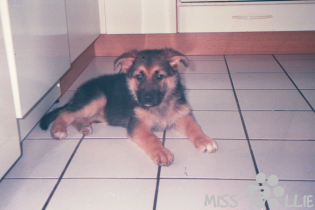 Baby Sellie