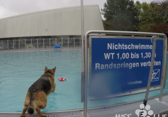Freibad Bornheim 2020