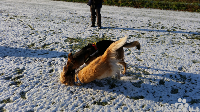28/12/2014 14:46