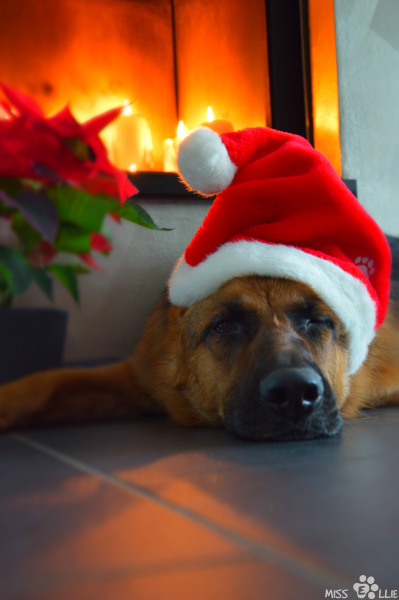 24/12/2015 17:00 Merry Christmas