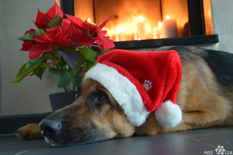 24/12/2015 17:00 Merry Christmas