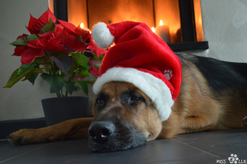 24/12/2015 17:00 Merry Christmas