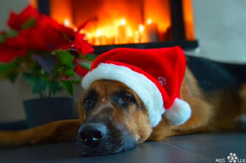 24/12/2015 17:00 Merry Christmas