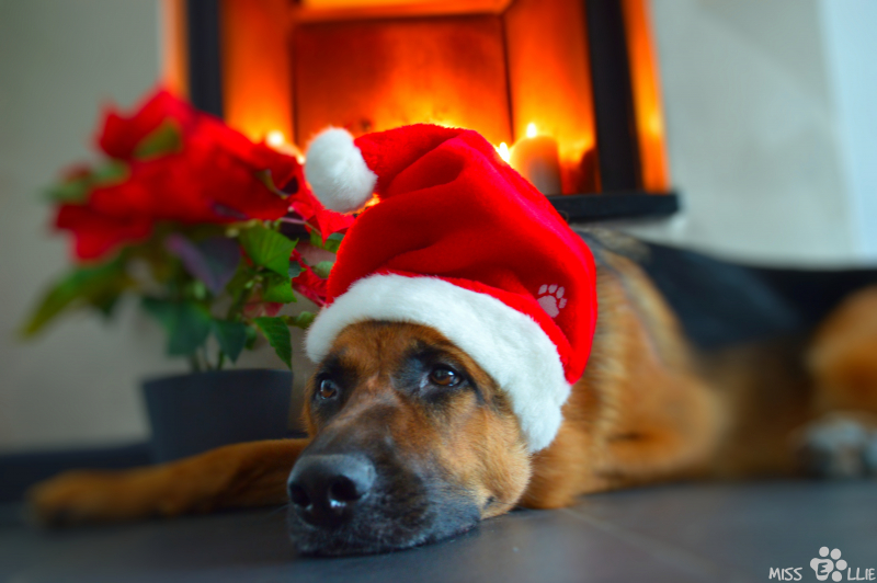 24/12/2015 17:00 Merry Christmas