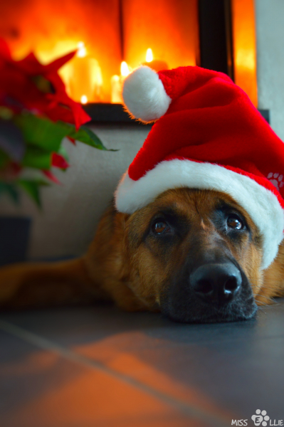24/12/2015 17:00 Merry Christmas