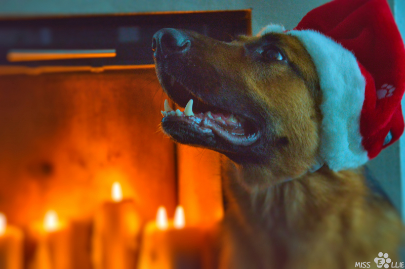 24/12/2015 17:00 Merry Christmas