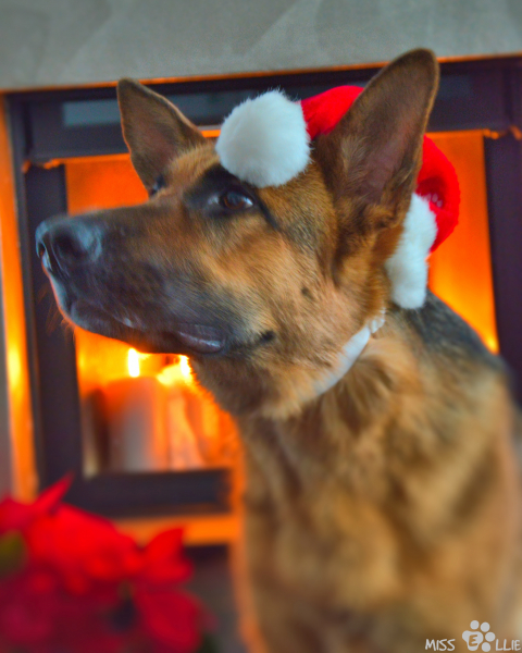 24/12/2015 17:00 Merry Christmas