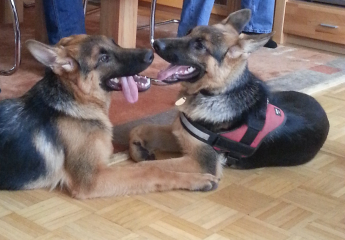 Ellie & Hatch 2014