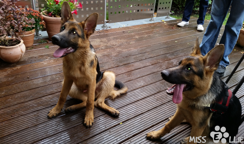 21/09/2014 15:25 Hatch & Ellie