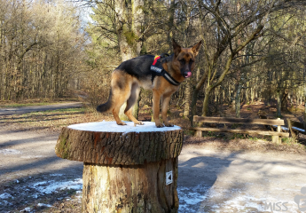Februar 2015