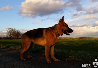 Februar 2016