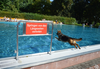 Freibad Brühl 2016