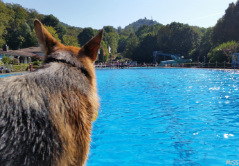 Freibad Königswinter 2016