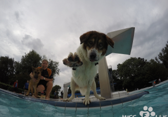Freibad Siegburg 2016