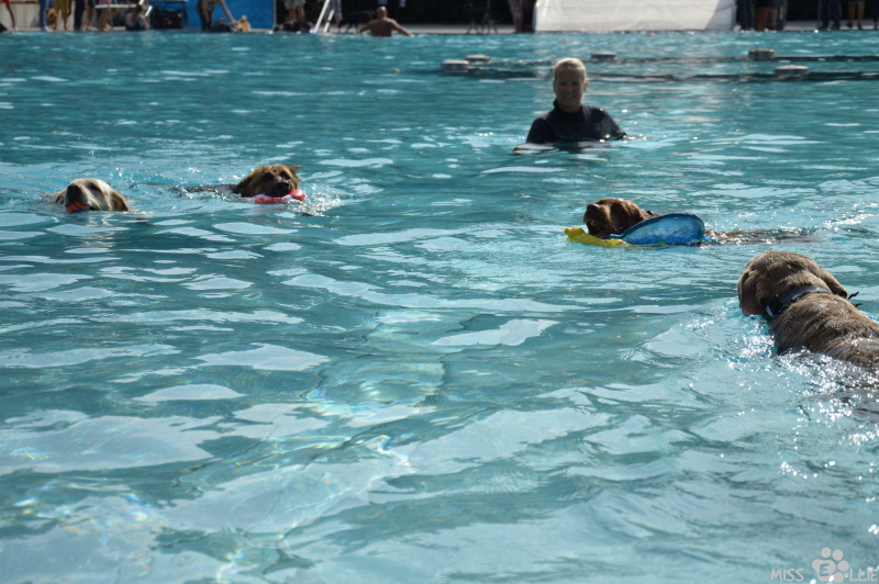 2020-09-20-14-50-07-DSC_0091