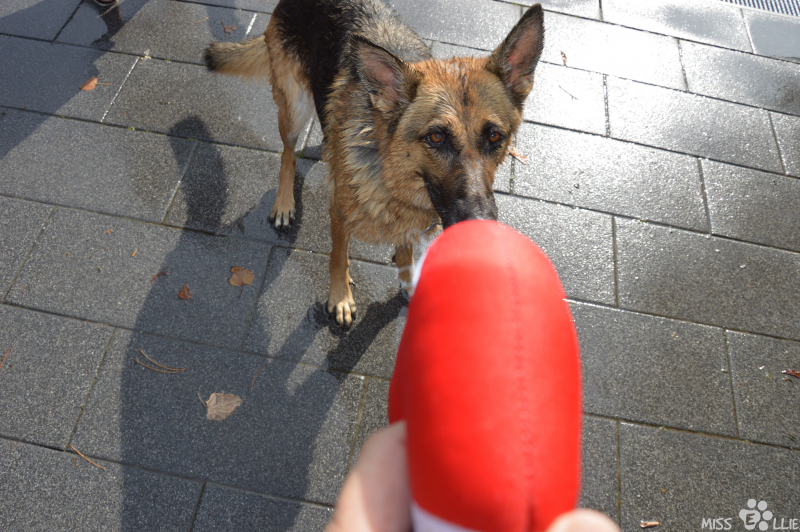 2020-09-20-14-50-39-DSC_0097