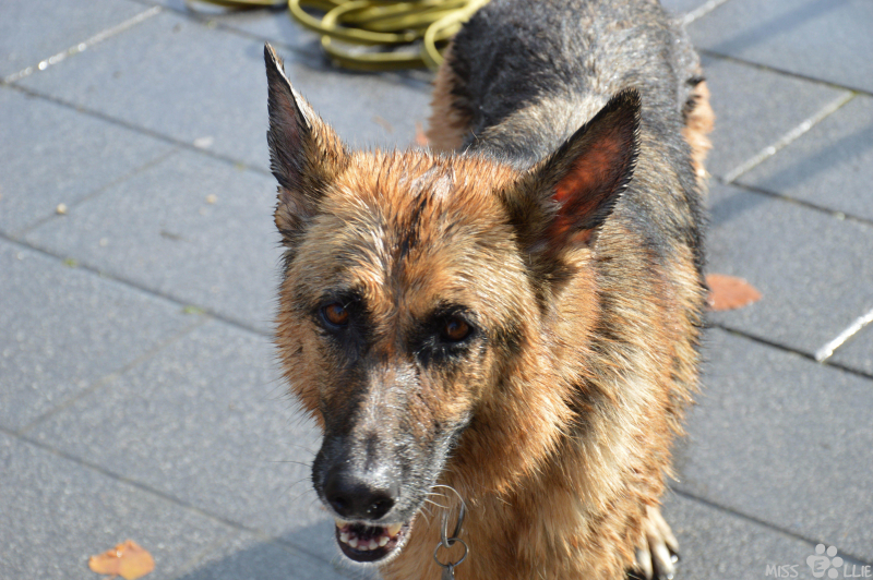 2020-09-20-14-56-05-DSC_0122