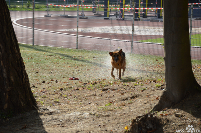 2020-09-20-16-26-54-DSC_0273