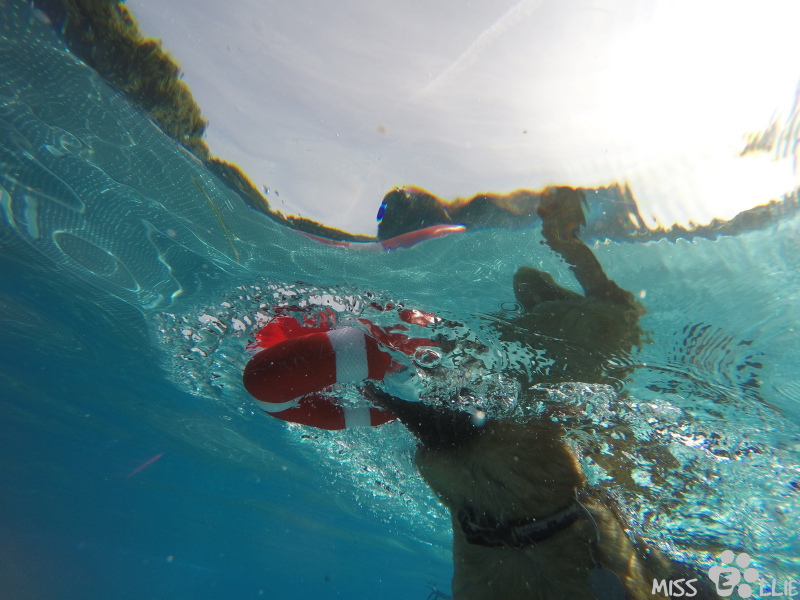 DCIM\100GOPRO\G0029162.