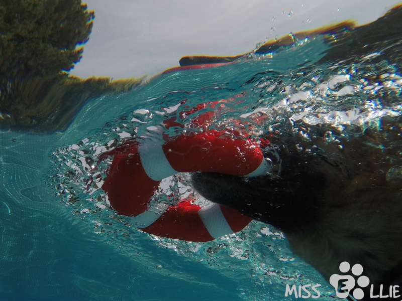 DCIM\100GOPRO\G0029163.
