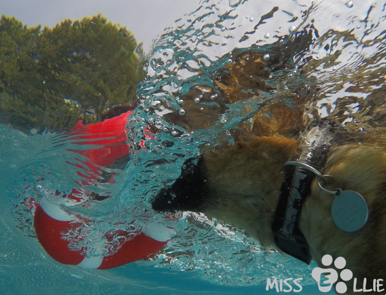 DCIM\100GOPRO\G0029164.