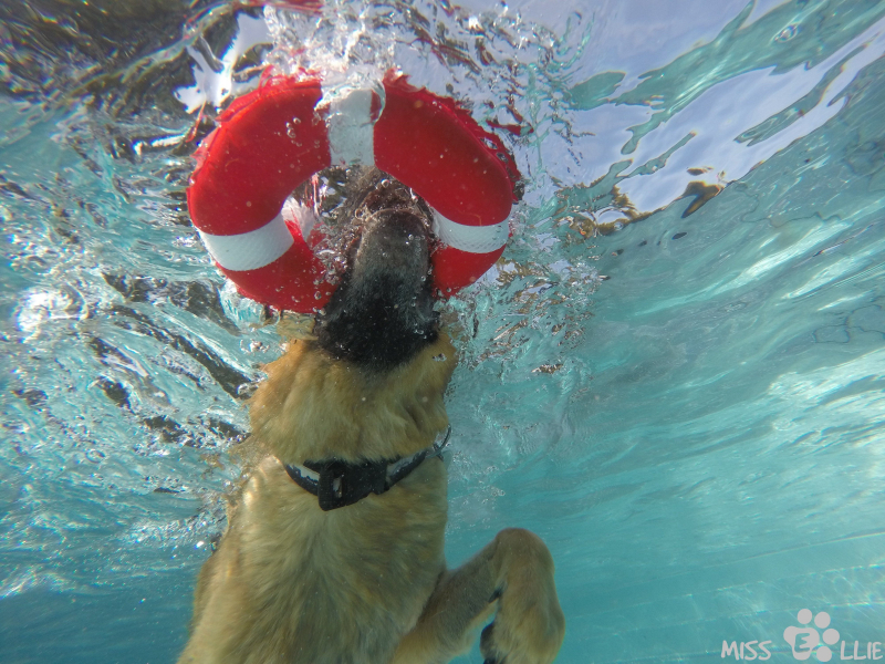 DCIM\100GOPRO\G0029197.