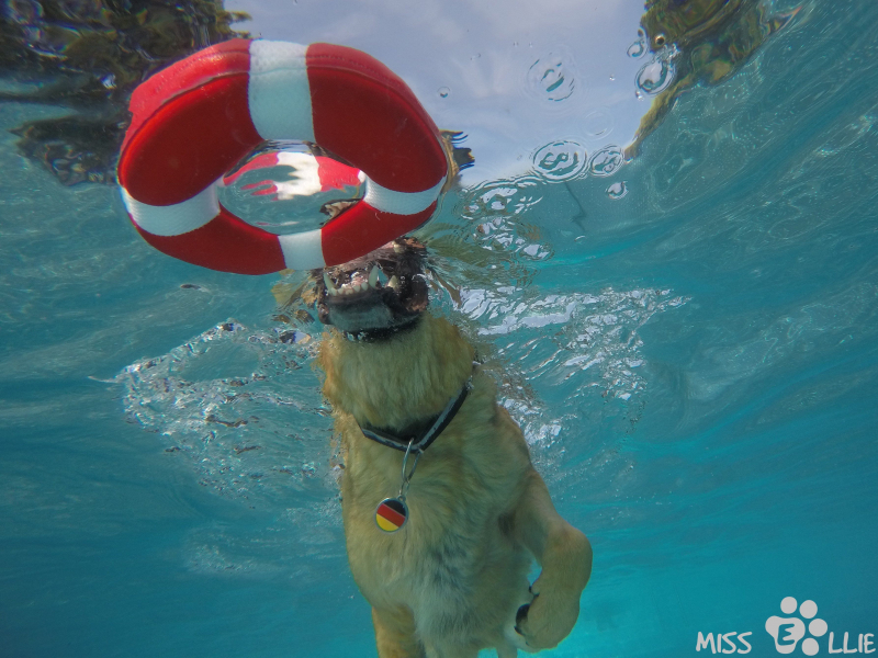 DCIM\100GOPRO\G0039211.