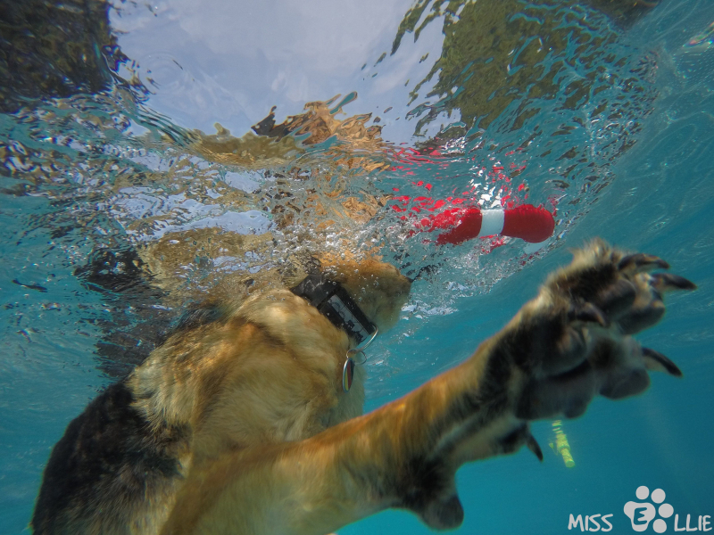 DCIM\100GOPRO\G0039212.