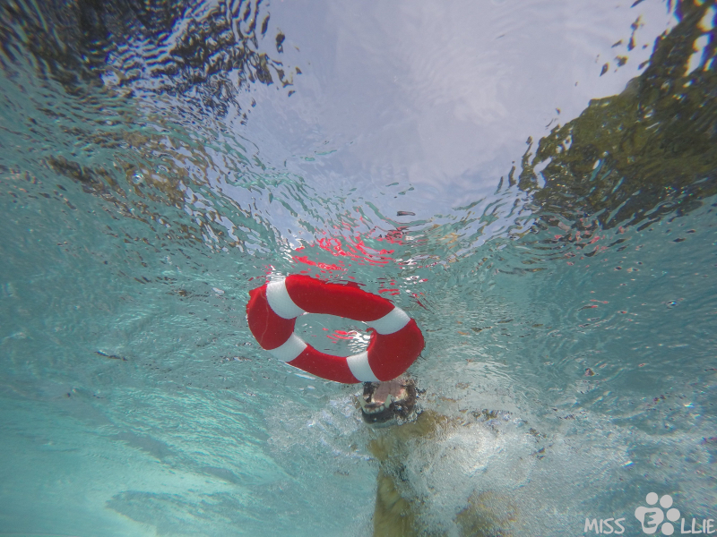DCIM\100GOPRO\G0059375.