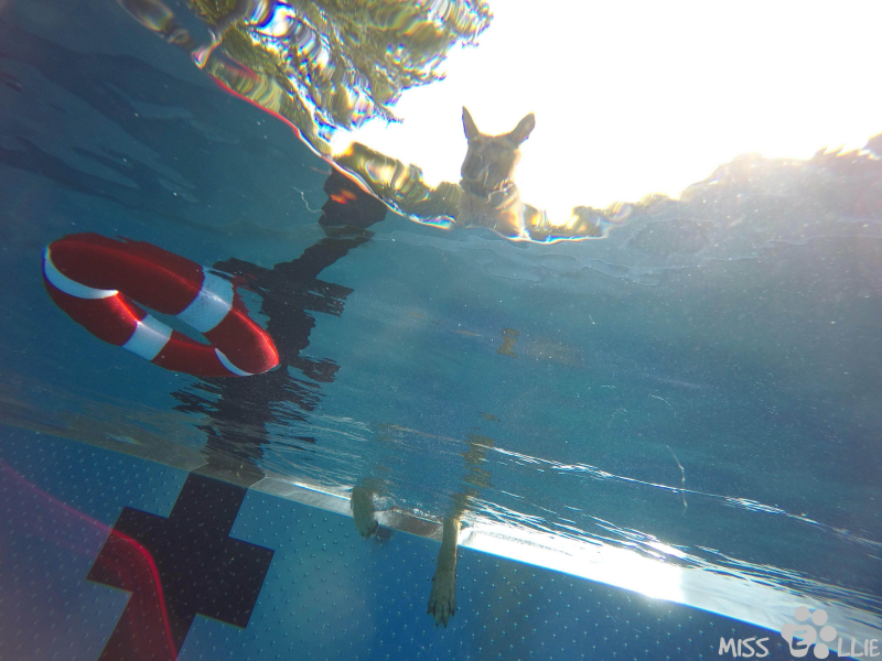 DCIM\101GOPRO\G0090198.