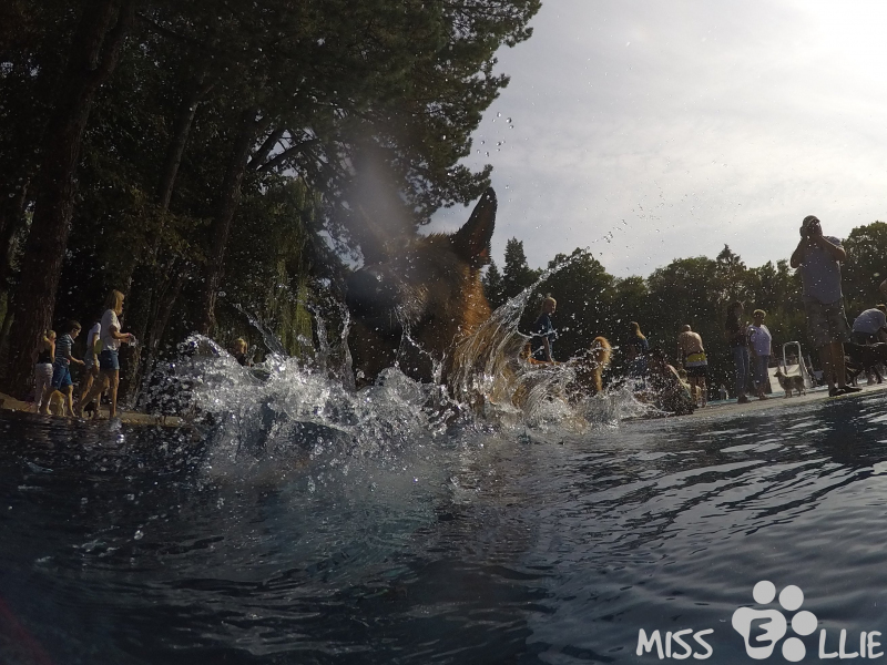 DCIM\101GOPRO\G0090238.