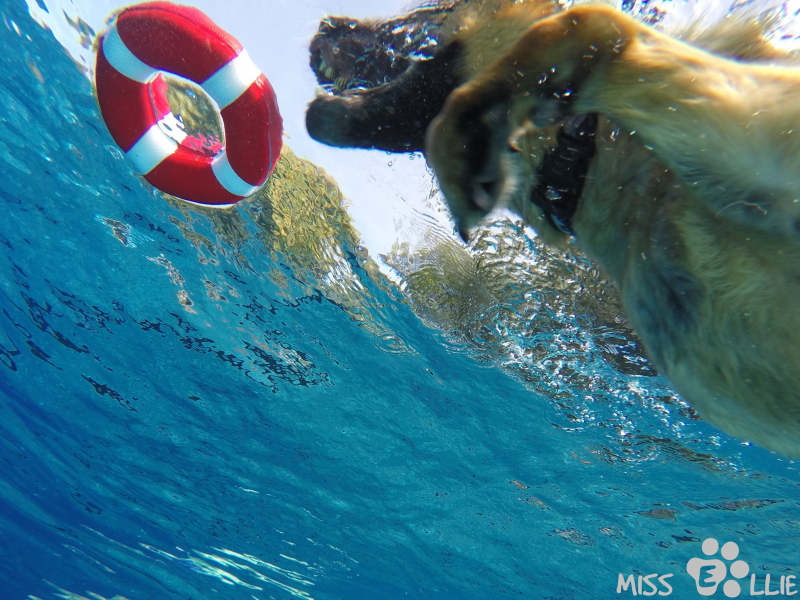 DCIM\101GOPRO\G0090312.