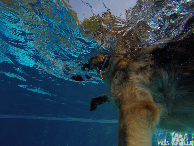 DCIM\101GOPRO\G0120701.
