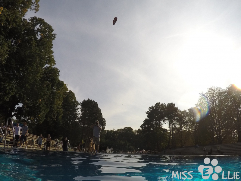 DCIM\101GOPRO\G0130925.