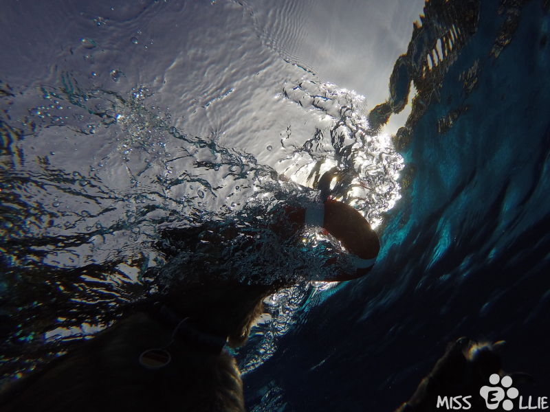 DCIM\101GOPRO\G0130935.