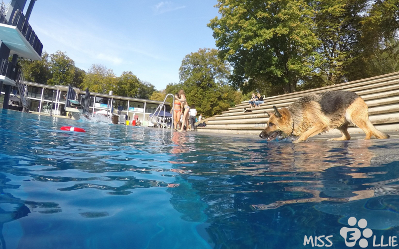 DCIM\101GOPRO\G0130989.