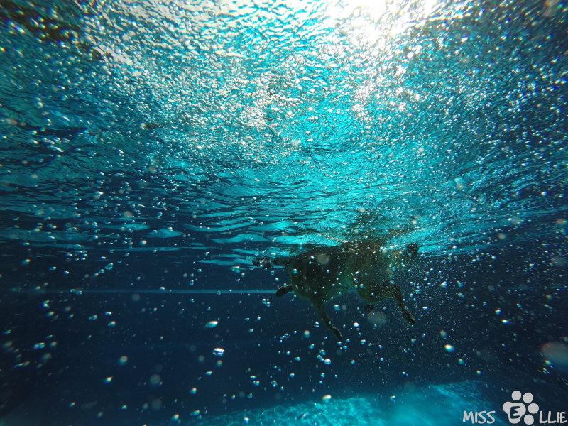 DCIM\102GOPRO\G0131023.