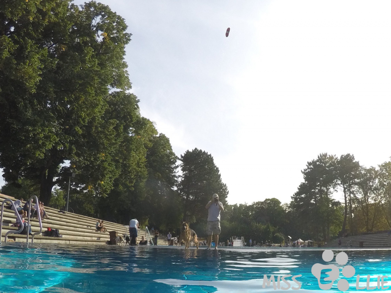 DCIM\102GOPRO\G0131077.
