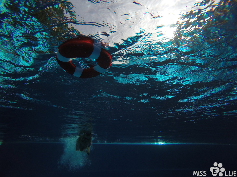 DCIM\102GOPRO\G0131082.
