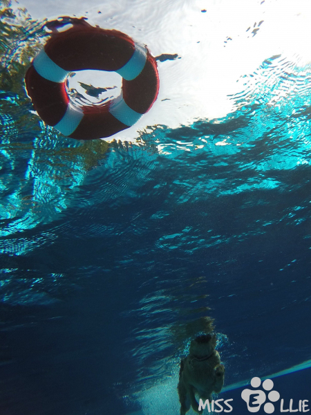 DCIM\102GOPRO\G0131083.