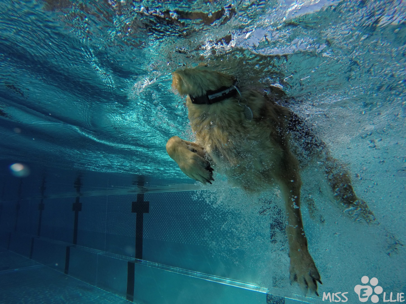 DCIM\102GOPRO\G0141211.