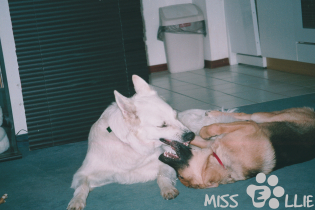 Sellie & Ilka 1998