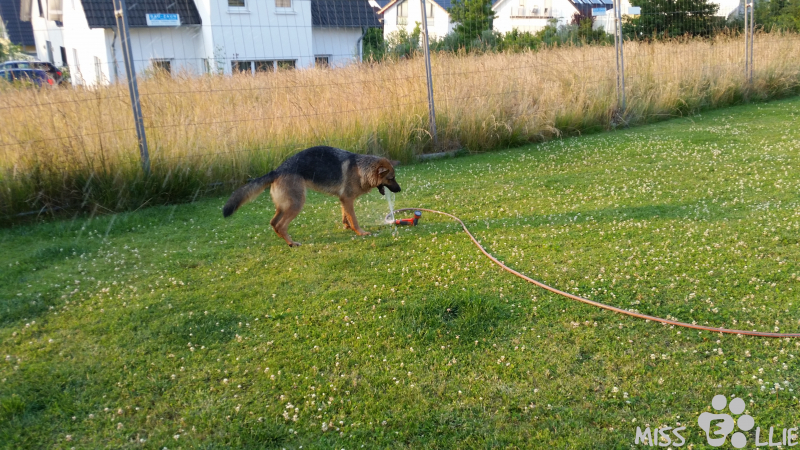 03/07/2015 20:32