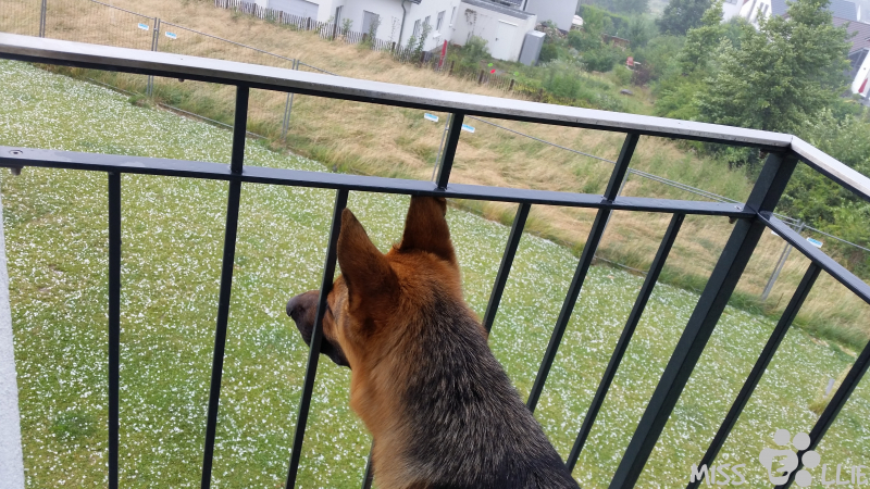 05/07/2015 17:58