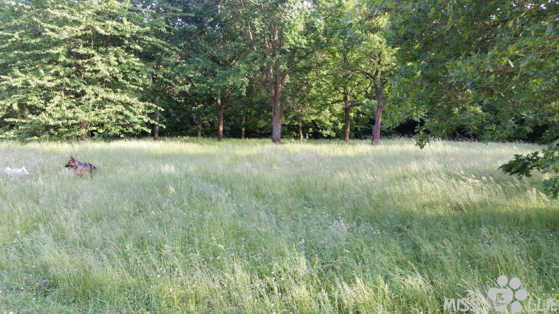 07/06/2015 18:43