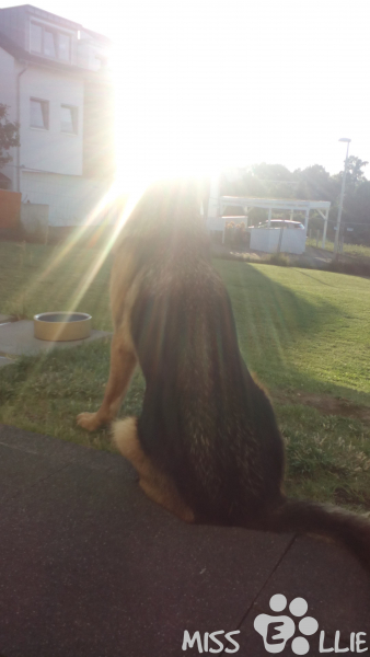 27/06/2015 20:34
