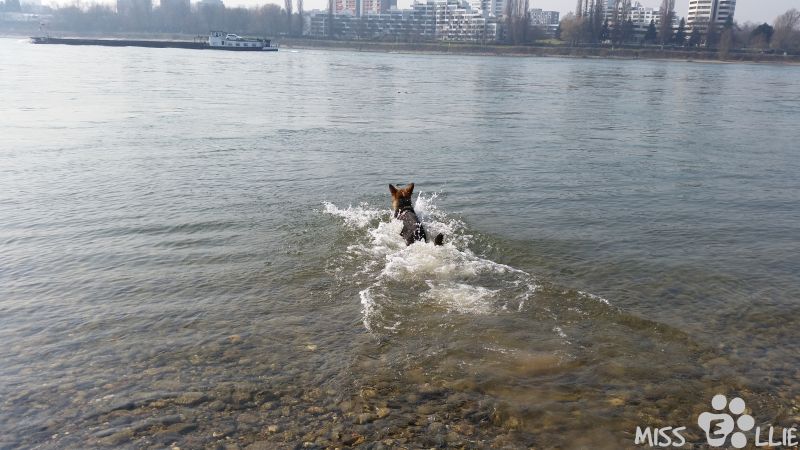 18/03/2015 12:22